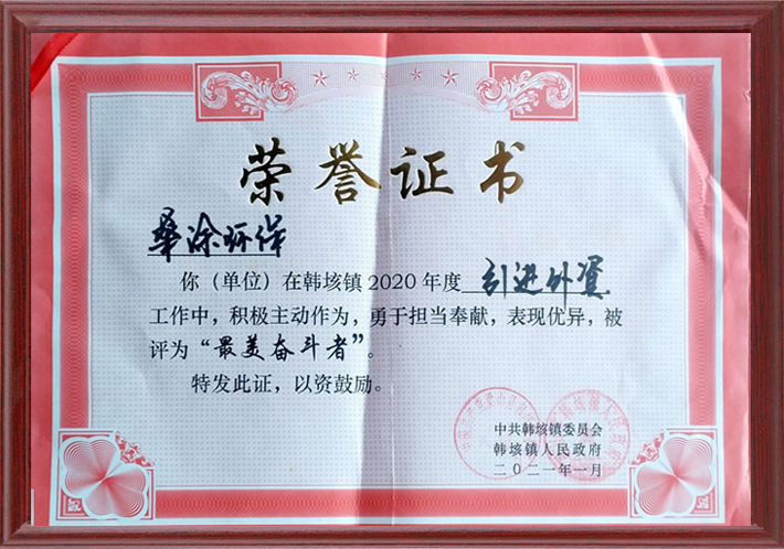 工程案例